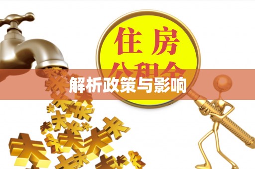 龙安解析政策与影响