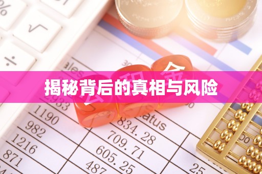 龙安揭秘背后的真相与风险