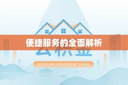 龙安便捷服务的全面解析