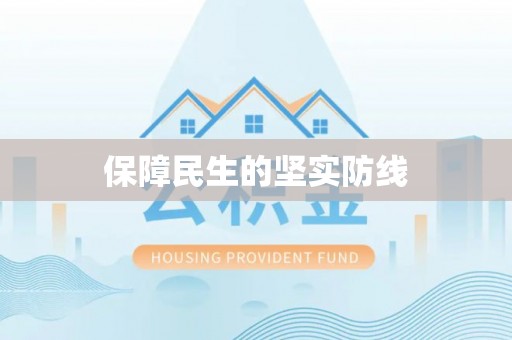 龙安保障民生的坚实防线