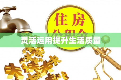 龙安灵活运用提升生活质量