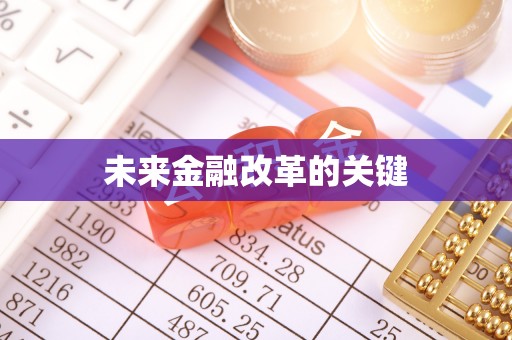 龙安未来金融改革的关键