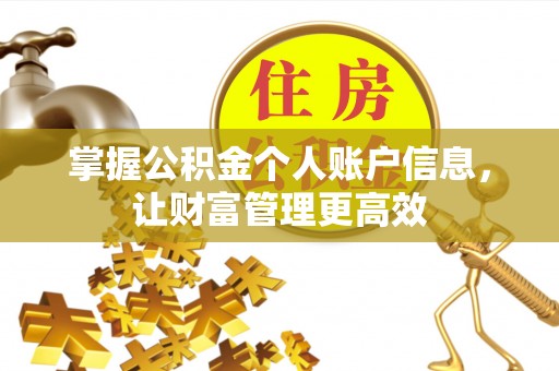 龙安掌握公积金个人账户信息，让财富管理更高效