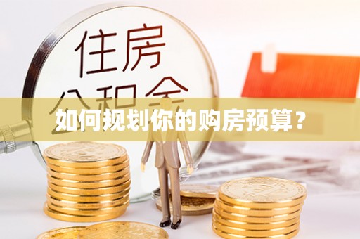 龙安如何规划你的购房预算？