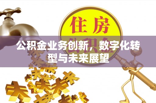 龙安公积金业务创新，数字化转型与未来展望