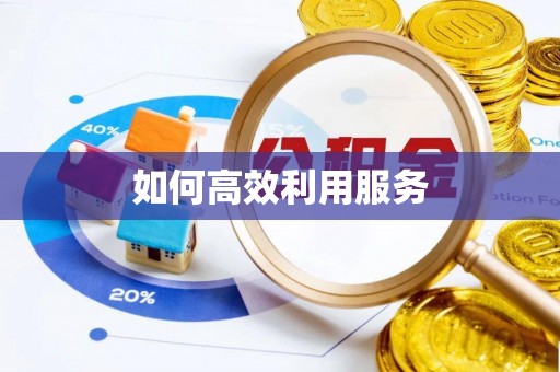 龙安如何高效利用服务