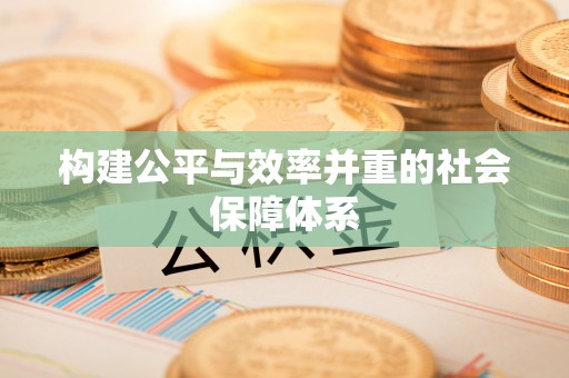 龙安构建公平与效率并重的社会保障体系