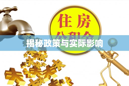 龙安揭秘政策与实际影响