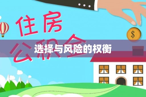 龙安选择与风险的权衡