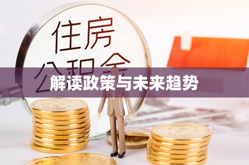 龙安解读政策与未来趋势