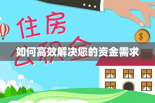 龙安如何高效解决您的资金需求