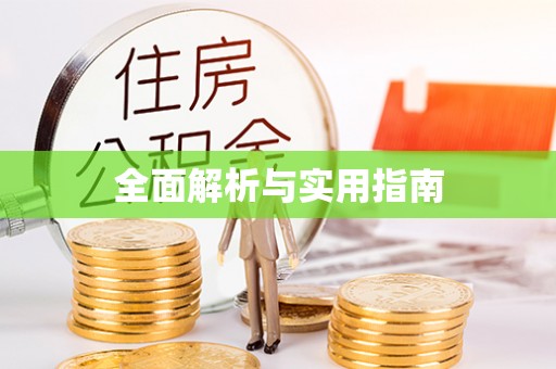 龙安全面解析与实用指南
