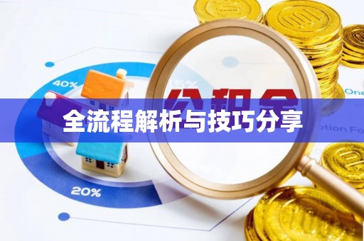 龙安全流程解析与技巧分享